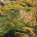 P1240507