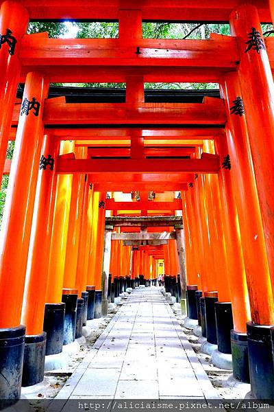 P1110997 - 複製.JPG