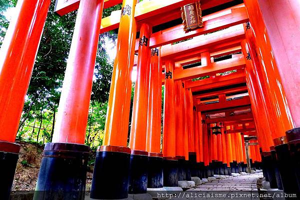 P1110996 - 複製 - 複製.JPG