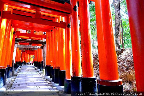 P1110998 - 複製.JPG