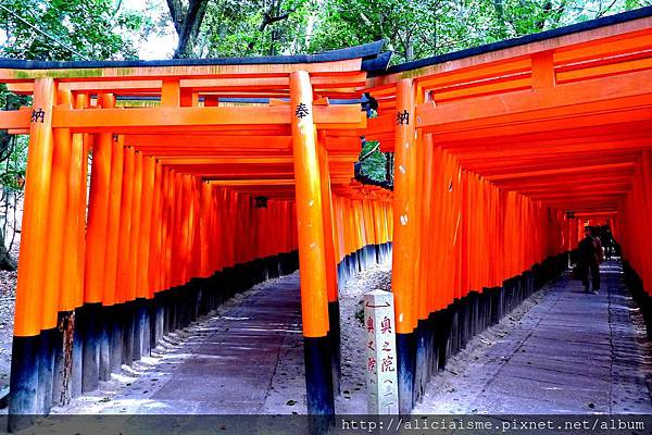 P1120003 - 複製.JPG