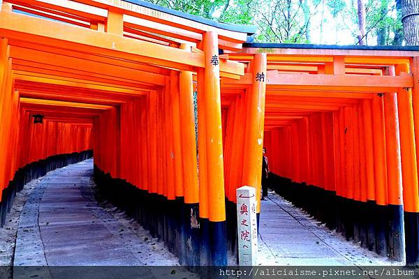 P1120004 - 複製.JPG