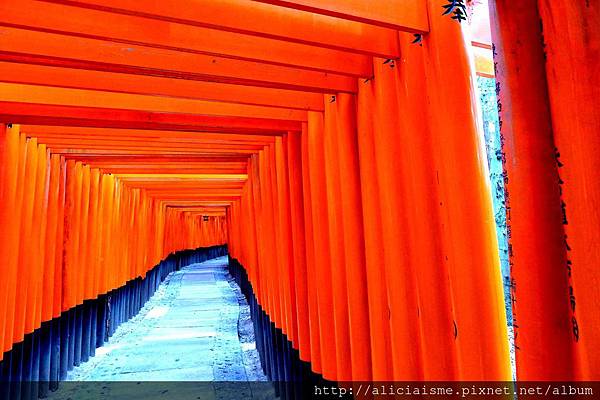 P1120010 - 複製.JPG