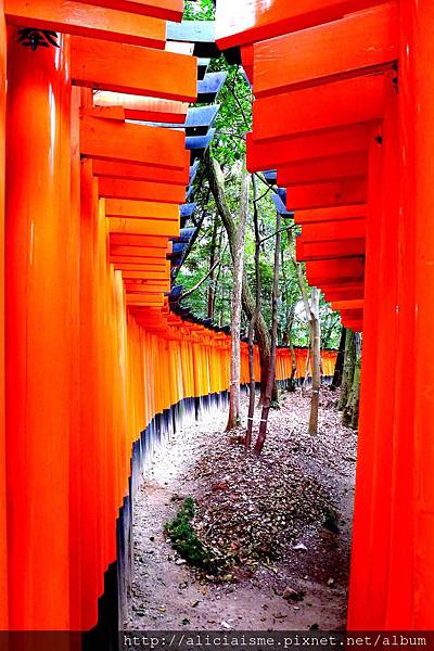 P1120007 - 複製.JPG