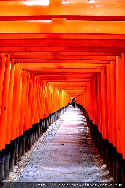 P1120013 - 複製.JPG