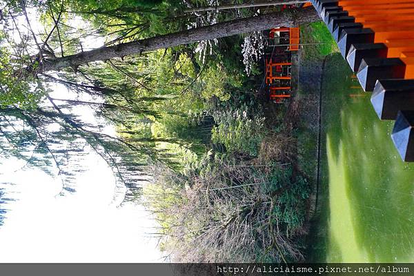 P1120030 - 複製.JPG