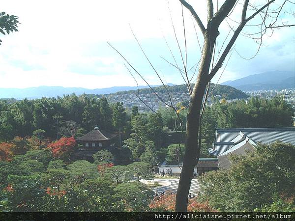 銀閣寺5.jpg