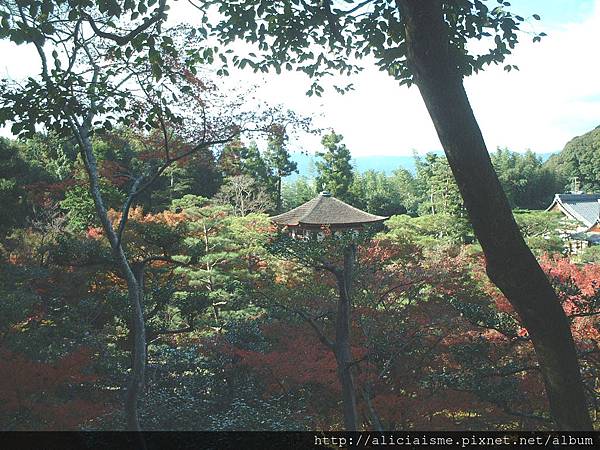 銀閣寺7.jpg