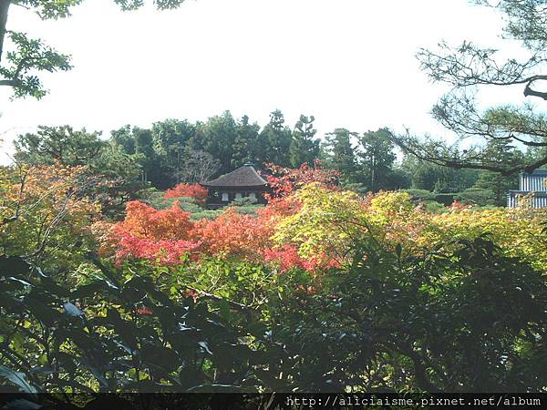 銀閣寺4.jpg