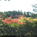 銀閣寺4.jpg