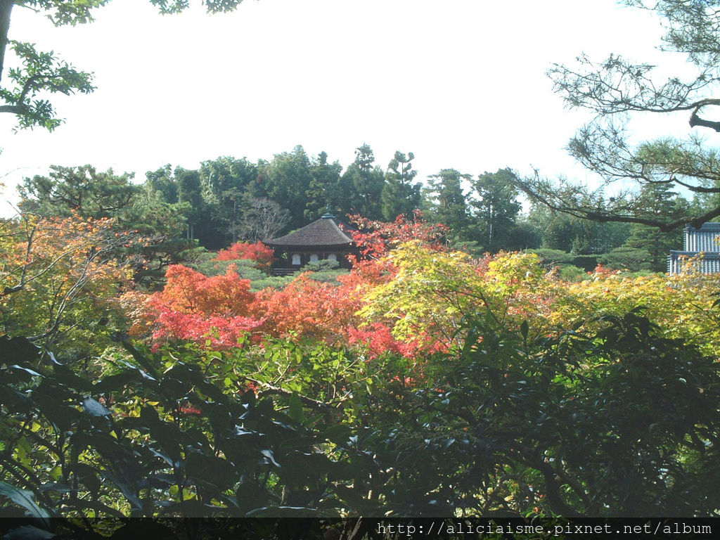 銀閣寺4.jpg