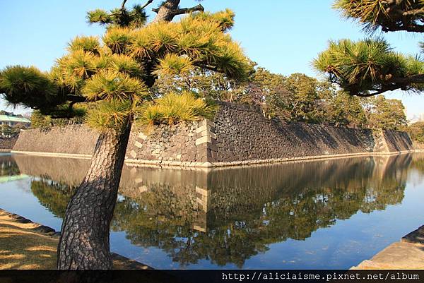 東京及近郊 紅葉 銀杏情報 日本 私旅行 痞客邦