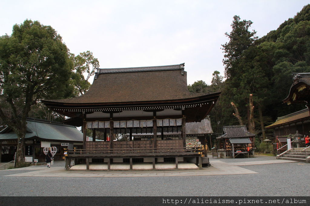 京都 松尾大社 神明降臨之地的日本酒神之社 美麗庭園及山吹 日本 私旅行 痞客邦
