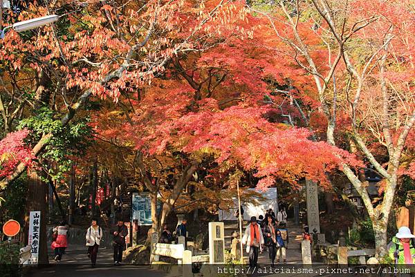 毘沙門堂門跡 京都山科 日本 私旅行 痞客邦