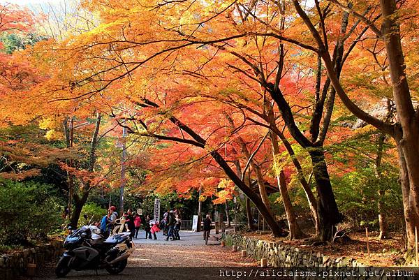 毘沙門堂門跡 京都山科 日本 私旅行 痞客邦
