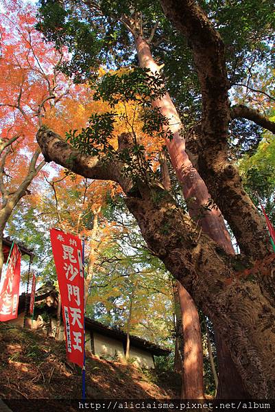 毘沙門堂門跡 京都山科 日本 私旅行 痞客邦