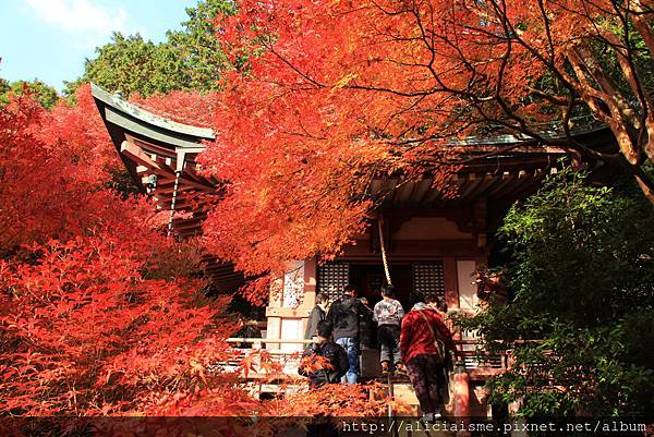 毘沙門堂門跡 京都山科 日本 私旅行 痞客邦
