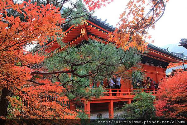 毘沙門堂門跡 京都山科 日本 私旅行 痞客邦
