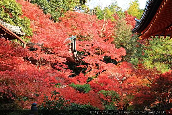 毘沙門堂門跡 京都山科 日本 私旅行 痞客邦