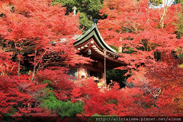 毘沙門堂門跡 京都山科 日本 私旅行 痞客邦