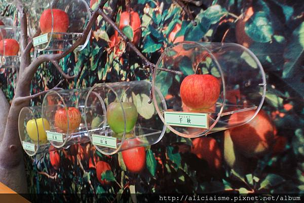 【青森縣】弘前市蘋果公園＆〈KIMORI〉蘋果發泡酒的工房：