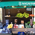 IMG_1272.JPG
