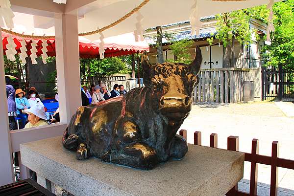 東京都龜戶 龜戶天神社的紫藤 200年的船橋屋葛餅 日本 私旅行 痞客邦