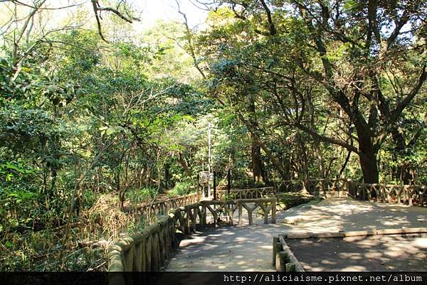 鹿兒島 城山公園 展望台 眺望活火山 櫻島 西鄉隆盛的人生終戰地 日本 私旅行 痞客邦 鹿兒島 城山公園 展望台 眺望活火山 櫻島 西鄉隆盛的人生終戰地 日本 私旅行 痞客邦