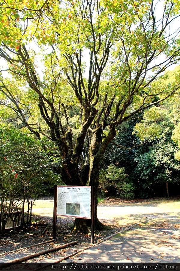 鹿兒島 城山公園 展望台 眺望活火山 櫻島 西鄉隆盛的人生終戰地 日本 私旅行 痞客邦 鹿兒島 城山公園 展望台 眺望活火山 櫻島 西鄉隆盛的人生終戰地 日本 私旅行 痞客邦