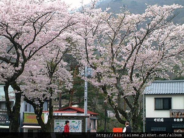 鬼怒川公園前.JPG