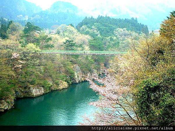 鬼怒川沿岸9.JPG