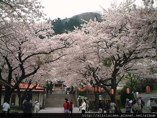 溫泉神社1.JPG