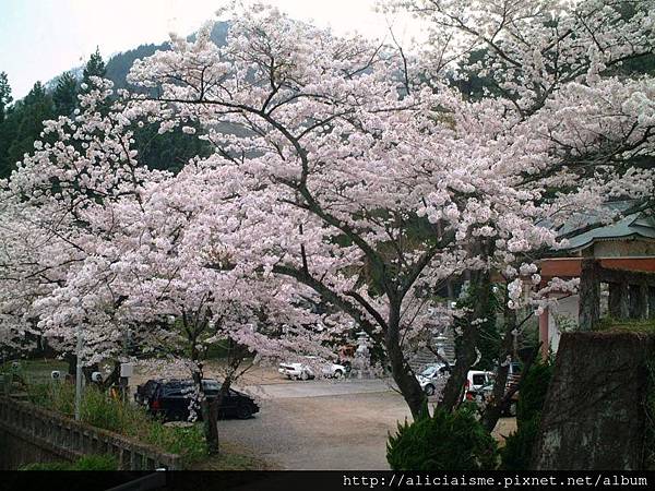 溫泉神社3.JPG