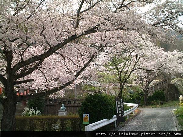 溫泉神社6.JPG