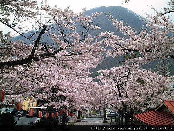 溫泉神社8.JPG