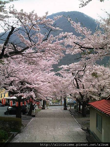 溫泉神社7.JPG