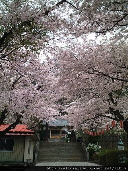 溫泉神社13.JPG