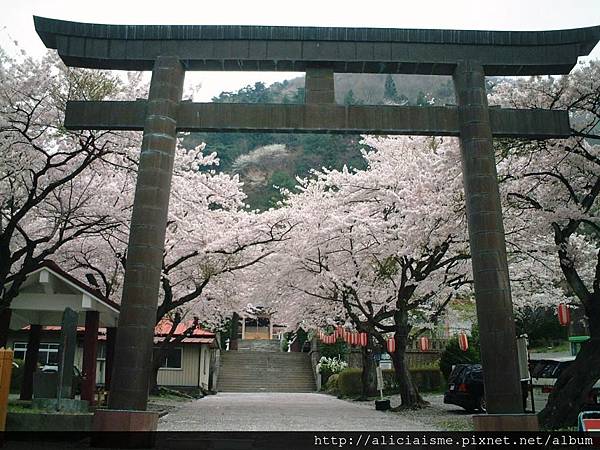 溫泉神社14.JPG