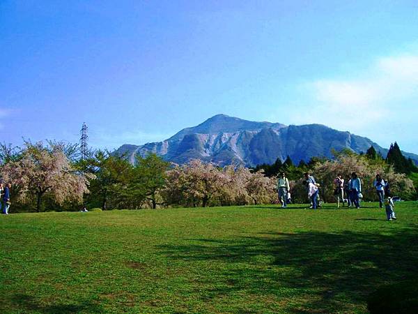 秩父羊山公園 (1).JPG