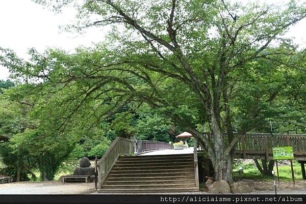 【鳥取縣】三朝館~冬日雪景夢幻王國、夏日觀瀑聞花香，女性限定