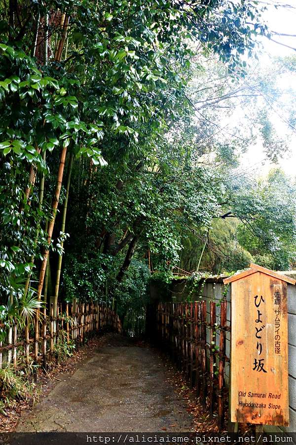 千葉縣 佐倉漫遊 Sakura市裡 沒有櫻花 只有飄著潔雪城下町散策 日本 私旅行 痞客邦