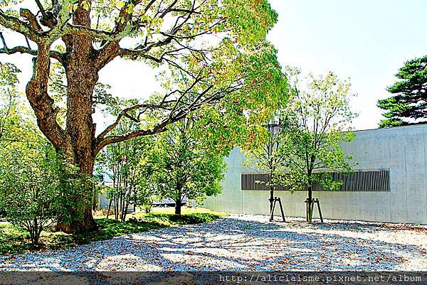 石川縣 谷口吉生x 鈴木大拙館 建築美學禪行旅 金澤市 日本 私旅行 痞客邦