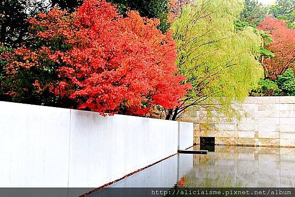 【石川縣】谷口吉生 X 鈴木大拙館：建築美學禪行旅＠金澤市