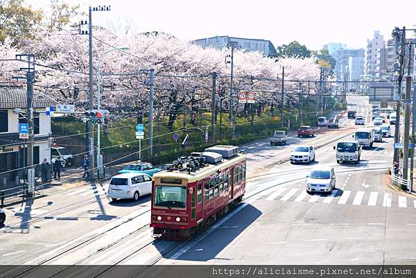 東京都 19更新 飛鳥山公園 繁櫻盛開下的都電荒川線 路面電車趣景 日本 私旅行 痞客邦