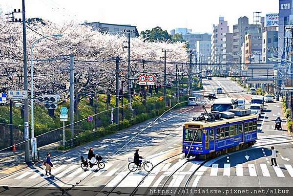 東京都 19更新 飛鳥山公園 繁櫻盛開下的都電荒川線 路面電車趣景 日本 私旅行 痞客邦