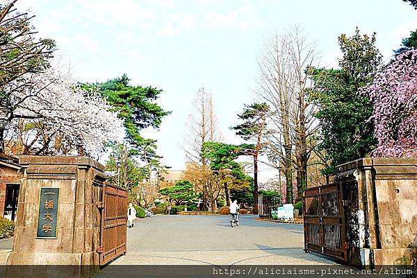 東京都 國立站 更新 櫻花行道樹下 一橋大學老校園 美味散策 Jr中央線 日本 私旅行 痞客邦 東京都 國立站 更新 櫻花行道樹下 一橋大學老校園 美味散策 Jr中央線 日本 私旅行 痞客邦