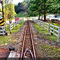 batch_PA311790.JPG