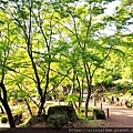 batch_PA311875.JPG