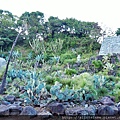 batch_PA301080.JPG