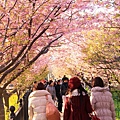 batch_IMG_0943.JPG